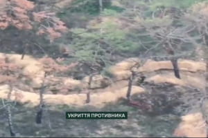 FPV-дрони прикордонників знищили позиції окупантів на півдні &ndash;  відео