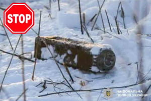 В Ровненской области вблизи железнодорожных путей обнаружены сброшенные "Шахедом" вражеские мины (фото, видео)