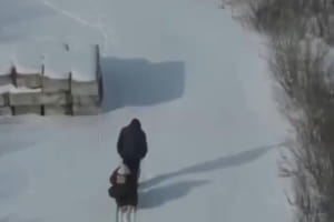 рф нанесла удар дроном по гражданским лицам во время эвакуации в Сумской области