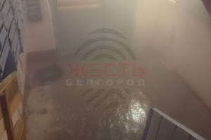 У Бєлгороді 80 тис. людей залишаються без тепла: з труб почали зливати воду 