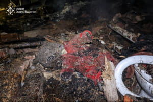 Смертельний удар по Богодухову: троє малюків та чоловік загинули, мати та бабуся у критичному стані (оновлено)