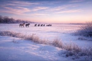 Фото з фронту