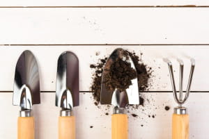Інструменти для роботи в саду