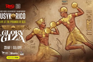 Постер боя Усика и Верхувена 