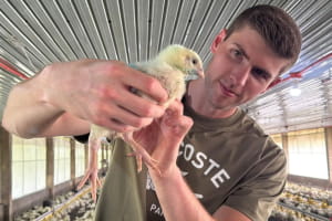 Історія канадця