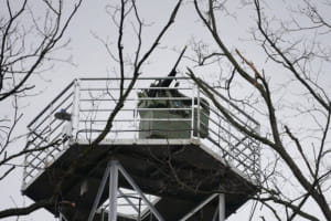 В Україні розгортають приватні системи ППО &ndash; що відомо