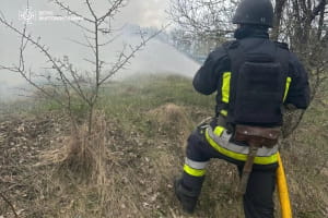 війська рф атакували Житомирщину: є загибла