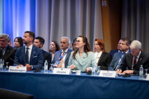 В инвестиционном фонде Триморья должно быть отдельное окно для украинских проектов &ndash; Свириденко