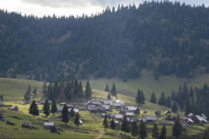Карпати, гори, природа, село