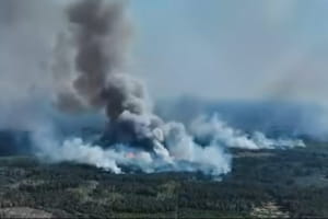 Через російські обстріли на Чернігівщині горить 2400 га лісу: повноцінно гасити пожежу поки неможливо &ndash; відео  