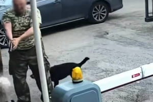 В Киеве мужчина ударил охранника и угрожал оружием &ndash; полиция