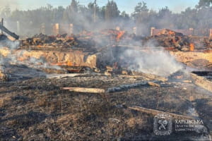 Внаслідок ворожої атаки на Харківщину одна людина загинула, ще 8 поранені