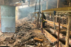 Масований удар по прикордонню Чернігівщини: уражено підприємства, поранено цивільного