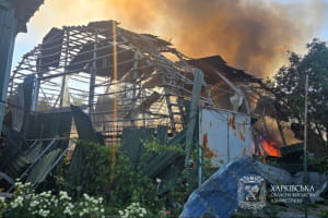 Російський дрон вдарив по фермі на Харківщині: загинули 10 телят