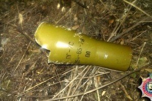 На Донеччині двоє дітей підірвалися на боєприпасі, один хлопець помер