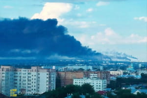 Наслідки бавовни