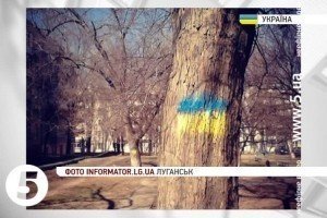 Вночі луганчани розфарбували синьо-жовтими кольорами кілька будинків та дерев