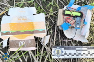 Зловмисниця замаскувула вибухівку під бургер і намагалася віддати її військовим: подробиці 