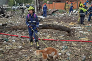 Удар по полігону на Київщині: 10 людей загинули, рятувальні роботи завершили