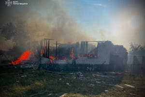 Російський дрон атакував ферму на Чернігівщині: загинуло щонайменше 9 голів худоби