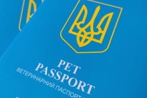 Новый ветеринарный паспорт: что следует знать владельцам животных