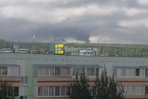 Бавовна у рф
