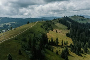 Карпатські гори