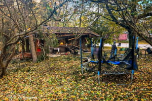Наслідки атаки