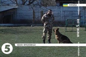 В Івано-Франківську готують собак, які допомагають правоохоронцям на блокпостах Донбасу 