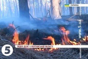15 гектарів хвойного настилу вигоріло на Полтавщині