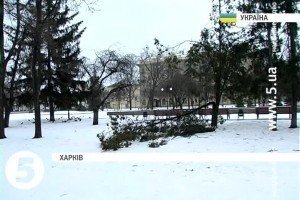 Через негоду в Україні знеструмлено майже 180 населених пунктів
