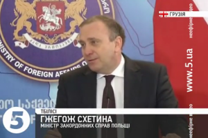 Для лібералізації візового режиму з ЄС, Грузії слід  докласти максимум зусиль у впровадженні реформ