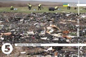 Міжнародна команда експертів поновила пошуки на місці падіння Boeing МН-17