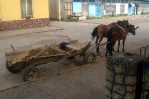 На Львівщині жорстоко убили капітана міліції