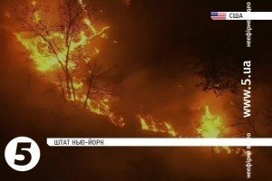 Схід США охопили масштабні лісові пожежі