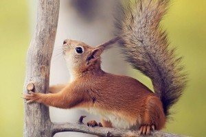 Тревел-фотограф презентувала знімки з різних куточків світу