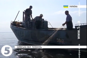На Київському та Канівському водосховищах поновили дослідження промислових запасів риби