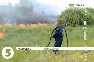 Пожежу в "Чорнобильській пущі" локалізовано на площі в 70 га - ДСНС