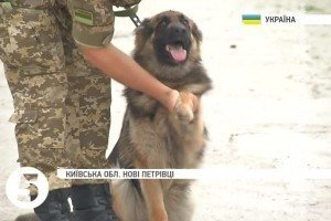 За кошти від екскурсій до Межигір'я придбали шість собак для прикордонної служби