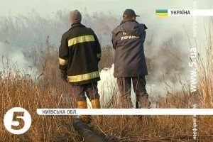 На Київщині досі тліють понад 100 га торфовищ - ДСНС