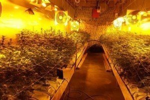 На Черкащині ліквідували нарколабораторію, організовану іноземцем, який перебував у міжнародному розшуку