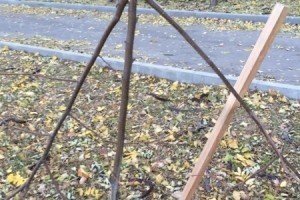 В Одесі знищили алею Небесної сотні