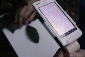 Український проект Petiole ввійшов до двадцятки найяскравіших стартапів світу