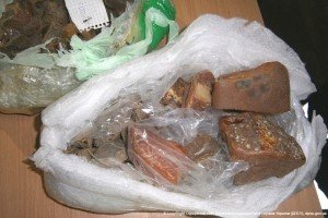 Дві українки намагались перенести в Угорщину майже 10 кг бурштину