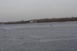 Прокуратура повертає Києву землі острову Венеціанський у Гідропарку