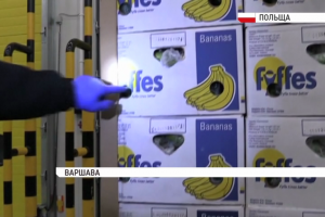 У Польщі затримали рекордну партію наркотиків на 27 млн євро