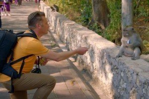 На Балі мавпа вкрала у журналіста iPhone, а потім обміняла його на їжу