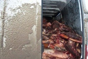 У Росії знищили близько 20 тонн  м'яса з України