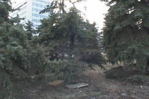 У центрі Дніпропетровська виявлено схованку з вибухівкою (відео)