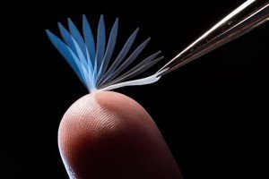 Американські науковці створили полімер з ефектом пам'яті, що змінює форму під час контакту з тілом людини